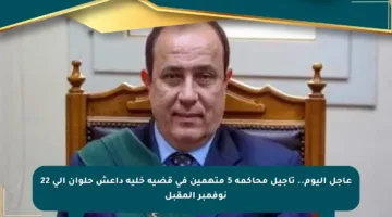 عاجل اليوم.. تأجيل محاكمة 5 متهمين في قضية خلية داعش حلوان إلى 22 نوفمبر المقبل